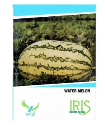 Iris Hybrid Watermelon Seeds