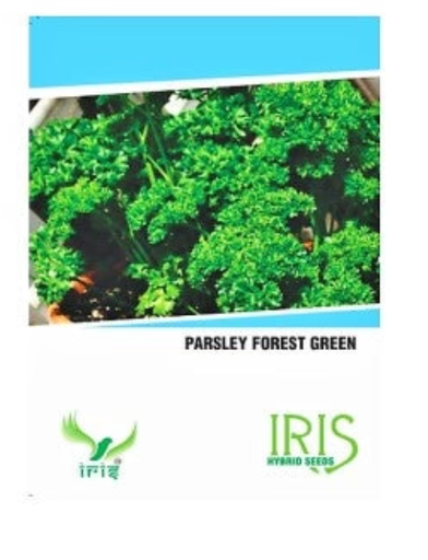 IRIS HYBRID OP HERB PARSLEY SEEDS