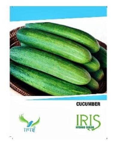 IRIS HYBRID CUCUMBER SEEDS VEGETABLE