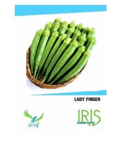 IRIS HYBRID OKRA SEEDS