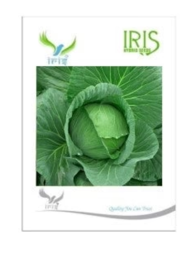 IRIS HYBRID VEGETABLE SEEDS CABBAGE