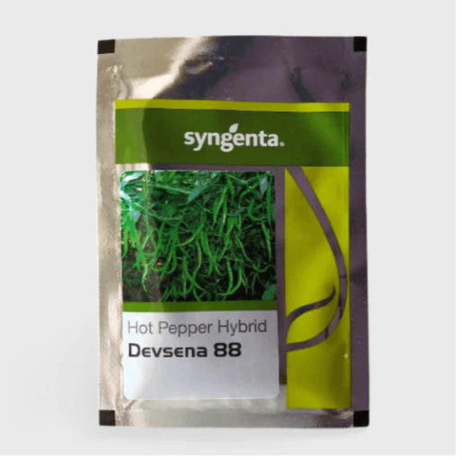 DEVSENA 88 CHILLI SEEDS