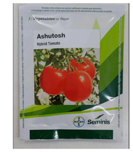 अशुतोष टमाटर