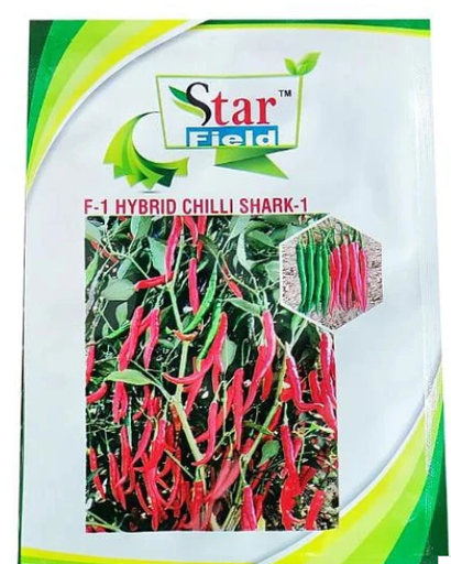 SHARK-1 HYBRID CHILLI
