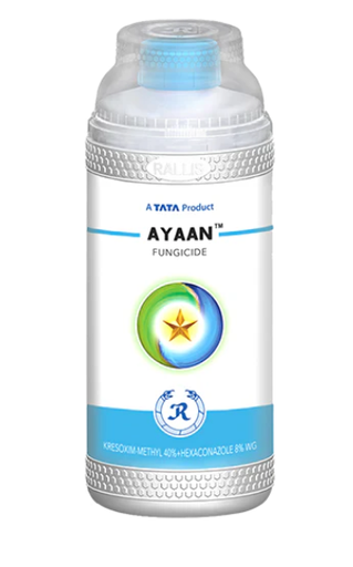 Ayaan Fungicide