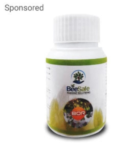 वेदग्ना बोर (विकास प्रवर्तक)