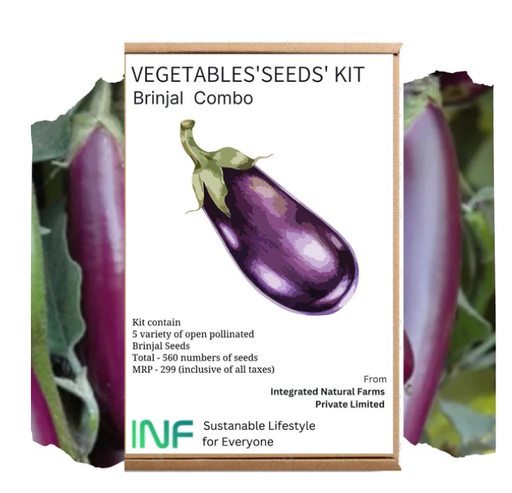 INF 5 VARIETY BRINJAL COMBO SEEDS