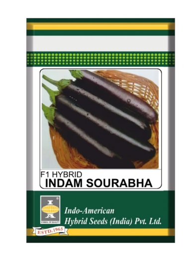 IAHS Brinjal Indam Sourabha Seeds