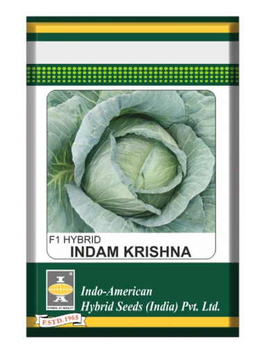 IAHS Cabbage Indam Krishna Seeds