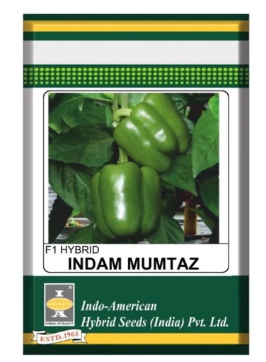 IAHS Capsicum Indam Mumtaz Seeds