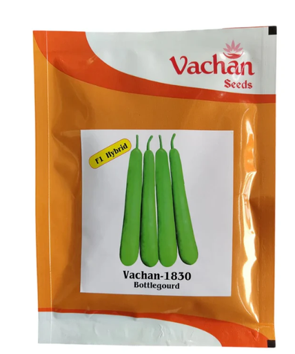 Vachan 1830 Bottle Gourd Seeds
