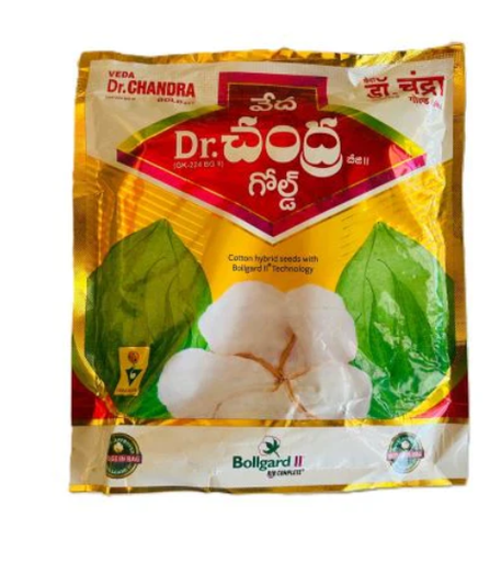 DR.CHANDRA GOLD BG II Hybrid Cotton
