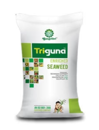 TRIGUNA ( त्रिगुणा )