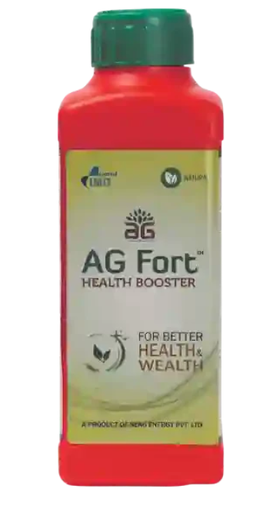 SEA6 ENERGY AG FORT - HEALTH BOOSTER