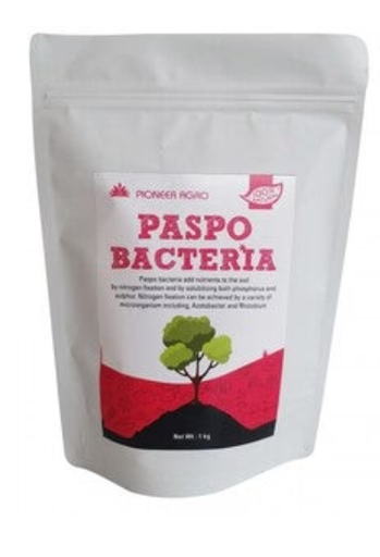PHOSPHO BACTERIA BIO FERTILIZER