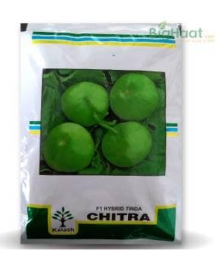 CHITRA TINDA SEEDS