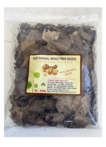 PIONEER RED SANDALWOOD SEEDS