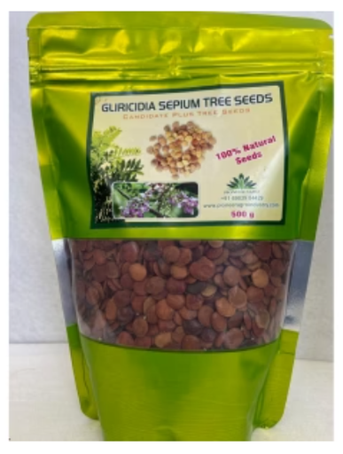 Gliricidia Sepium Tree Seeds: Fast-Growing Green Manure & Shade Tree