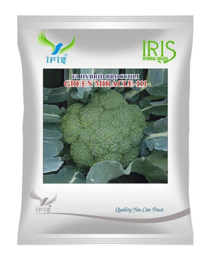 Iris Hybrid F1 Broccoli Green Miracle