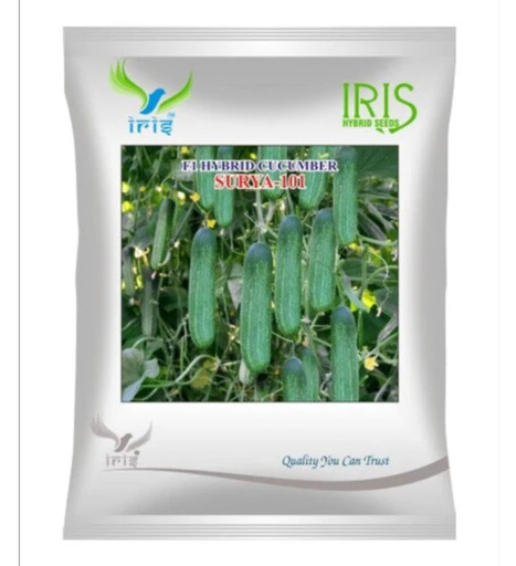 Iris Hybrid F1 CUCUMBER SURYA-101