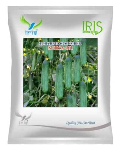 Iris Hybrid F1 CUCUMBER  SURYA-101