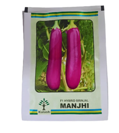 Kalash Manjhi F1 Hybrid brinjal Seeds