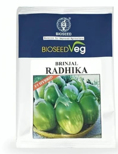 Bioseed Radhika F1 Hybrid Brinjal Seeds