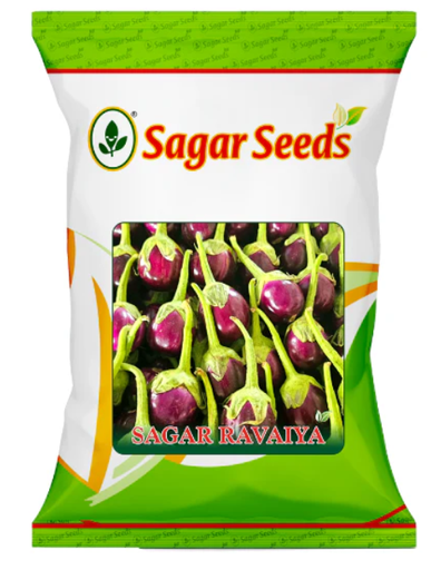 Sagar Ravaiya F1 Brinjal Seeds