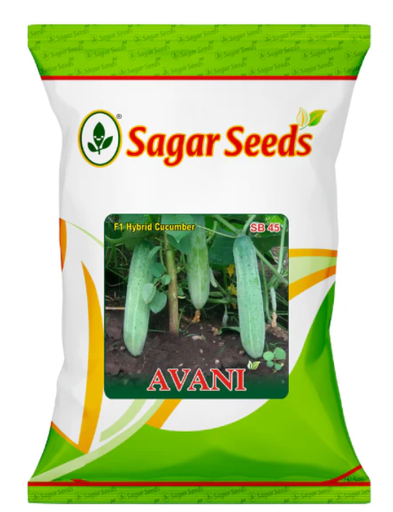 सागर अवनि एफ1 खीरे के बीज