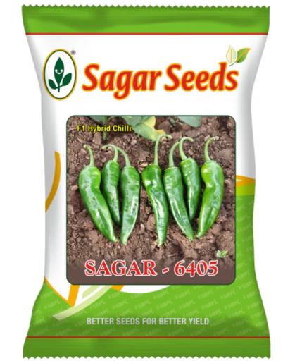Sagar 6405 F1 chilli seeds