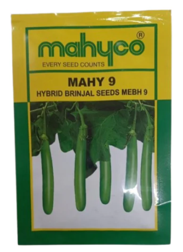 MAHY 9 HYBRID BRINJAL SEEDS.