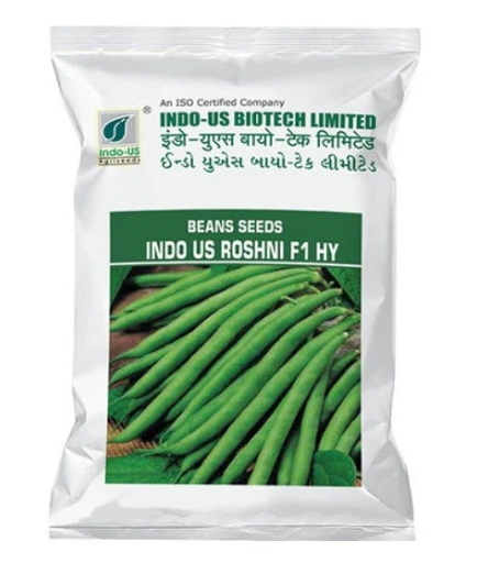 INDO US BEANS ROSHNI F1 HY