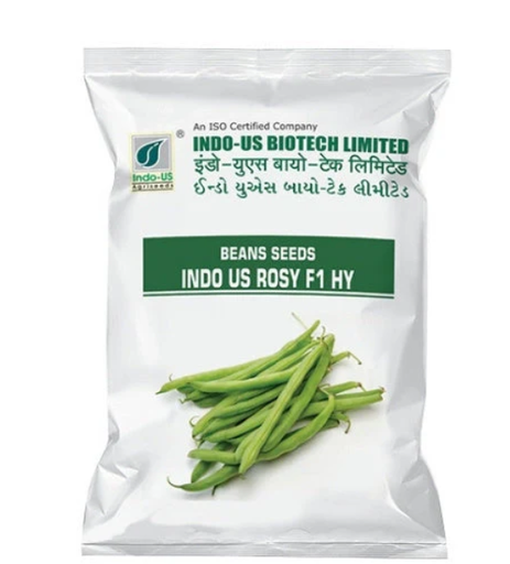 INDO US BEANS ROSY F1 HY
