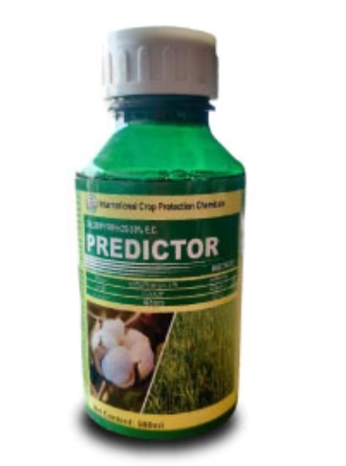 Predictor Insecticide