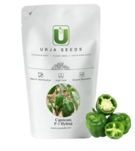 URJA CRYSTAL URJA GREEN - CAPSICUM SEEDS (IMPORTED)