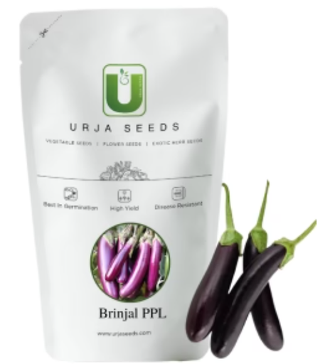 URJA BRINJAL PPL SEEDS