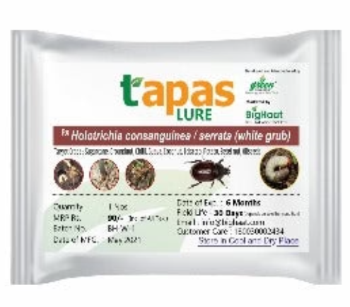 TAPAS WHITE GRUB LURE