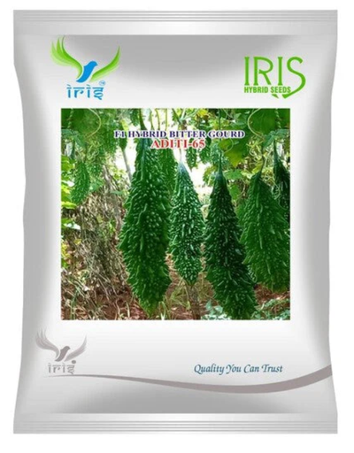 lris hybrid f1 bittergourd aditi-65