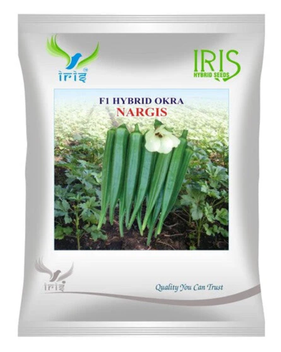 hybrid f1 okra nargis