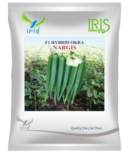 Iris Hybrid F1 OKRA NARGIS