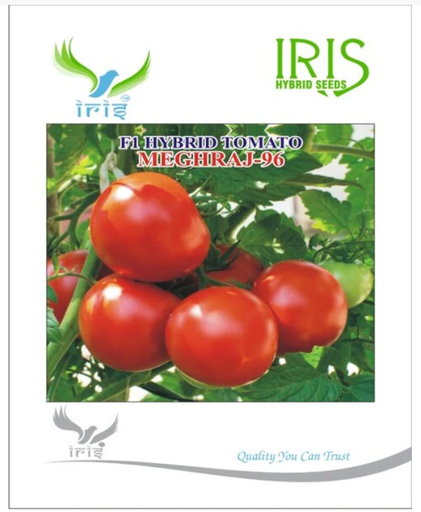 IRIS HYBRID F1 TOMATO MEGHRAJ-96