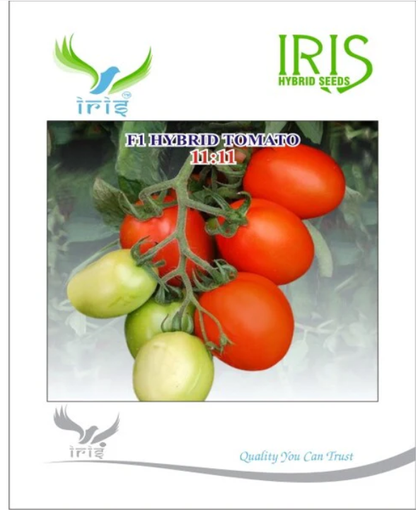 Iris Hybrid F1 TOMATO 11:11