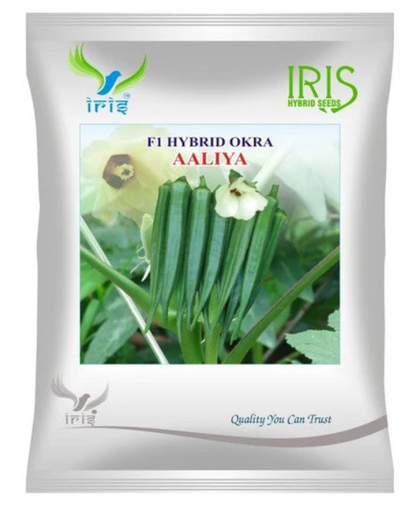 Iris Hybrid F1 OKRA AALIYA