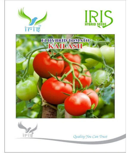 ఐరిస్ హైబ్రిడ్ F1 టమోటా కైలాష్