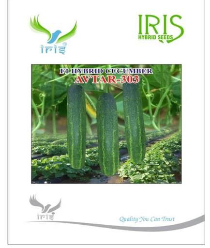 IRIS HYBRID F1 CUCUMBER AVTAR-303