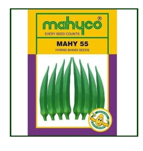 MAHY 55 OKRA ( माहिको नंबर 55 भिंडी )