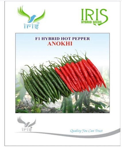 IRIS HYBRID F1 HOT PEPPER ANOKHI