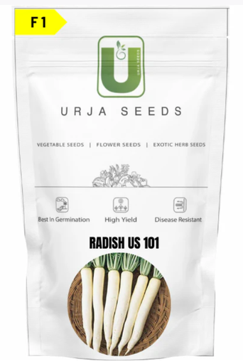 URJA RADISH US-101 (IMP)