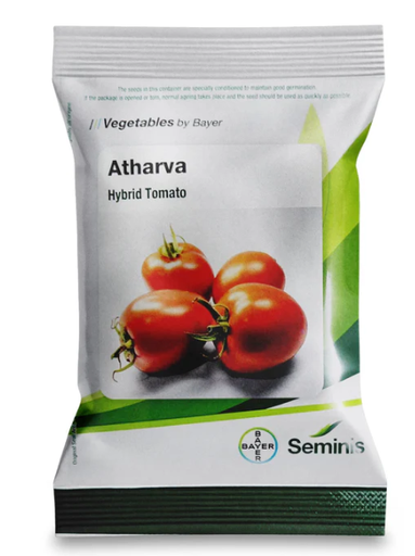 Atharva tomato seeds