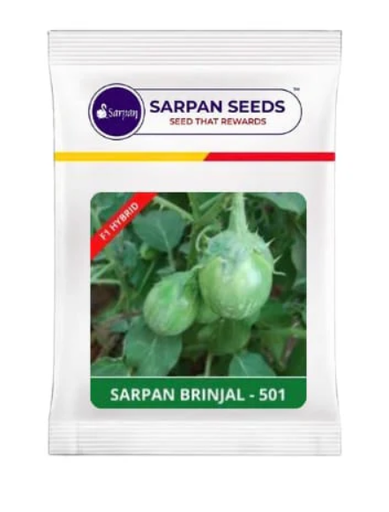 SARPAN BRINJAL – 501 (Green colour - Spiny)